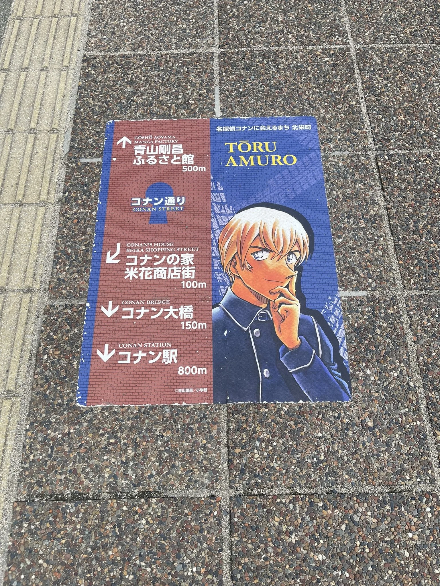 IMG_4665.JPEG