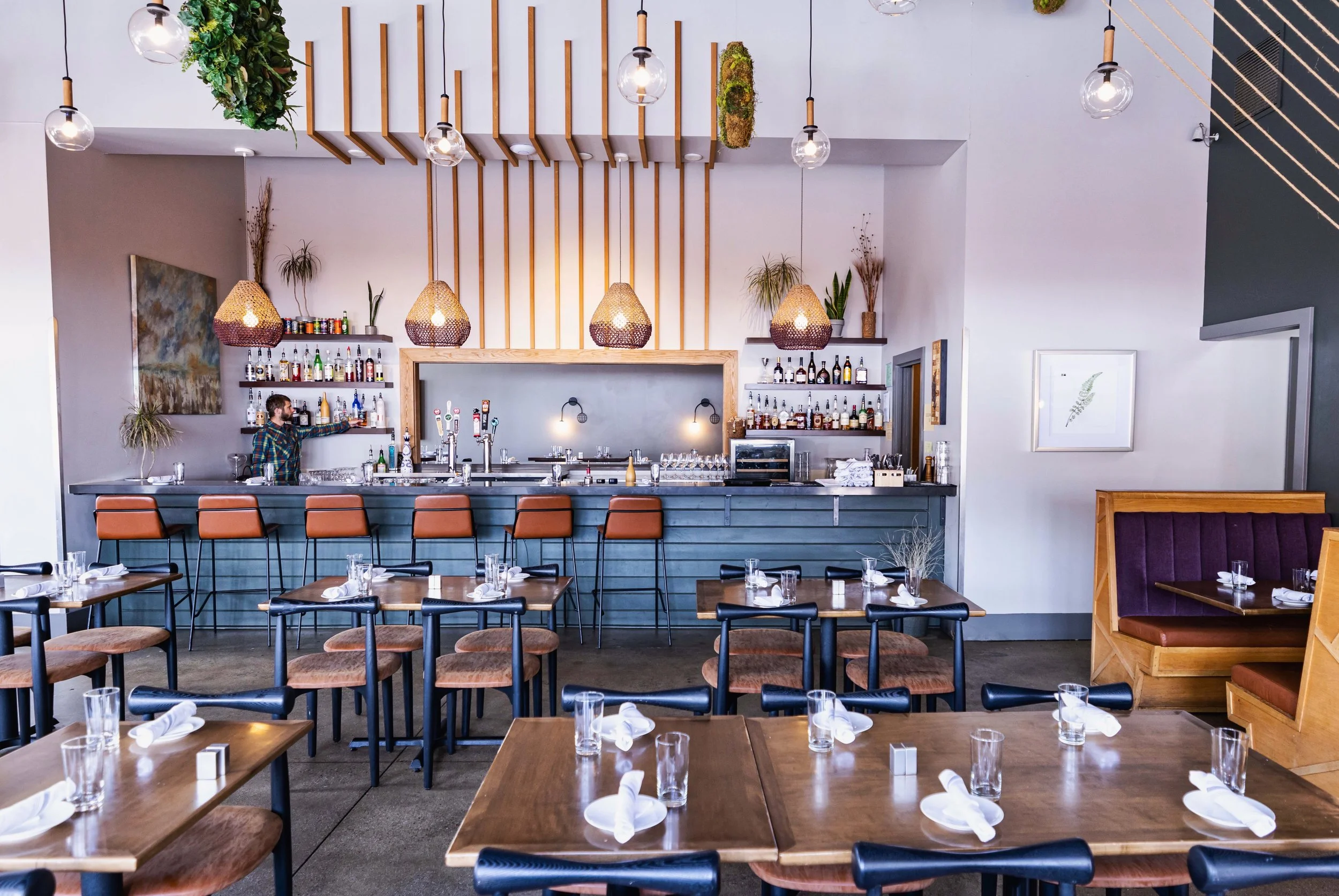 Twisted Fern Interior9.1.jpeg