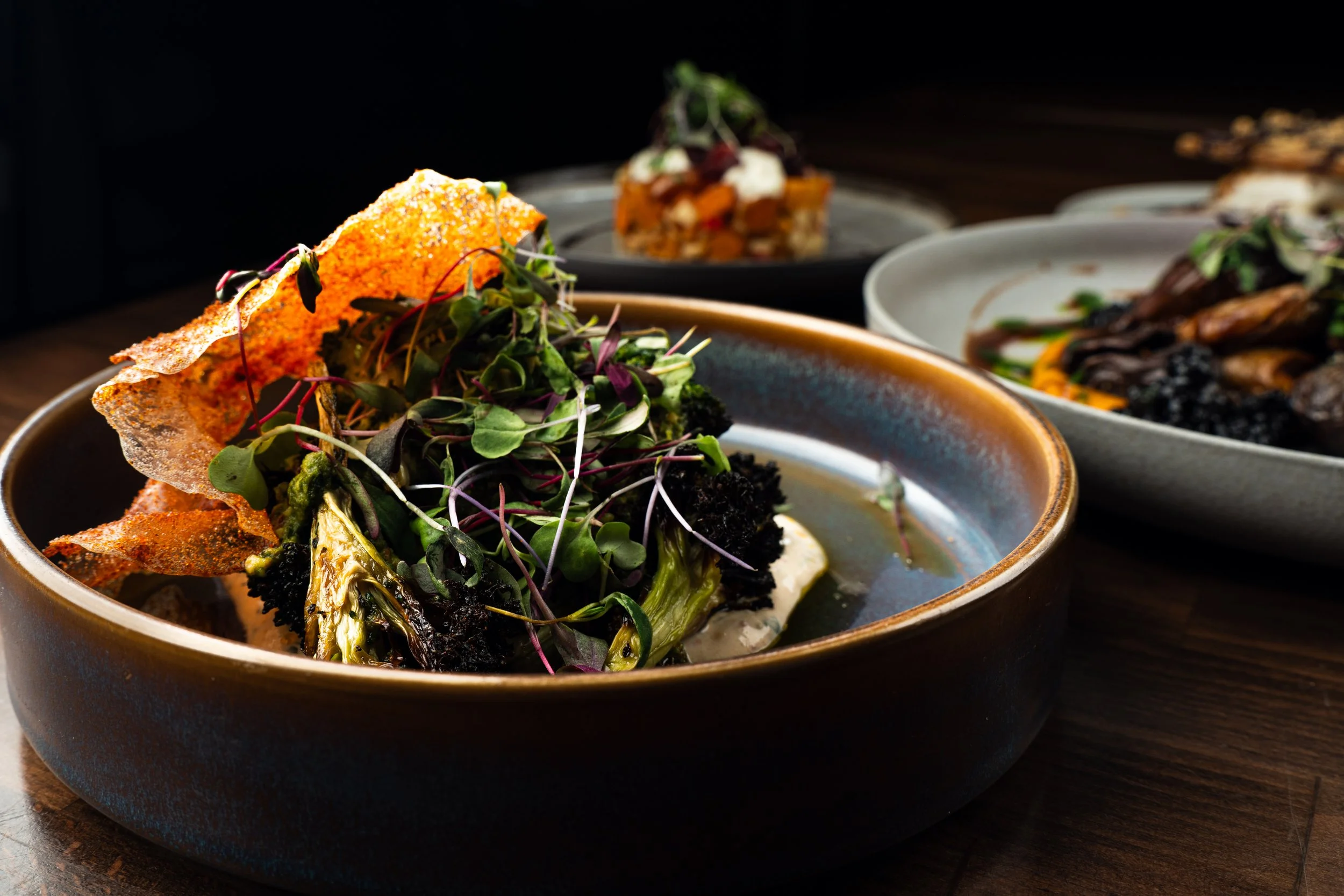 twistedfern9 (2 of 2).JPG