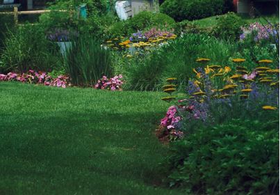 Briggs Landscape Design offers attractive property maintenance contracts for homeowners and commercial customers.