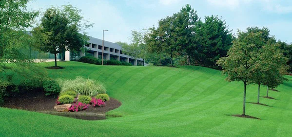 Commercial-Landscape-Pic-1.jpg