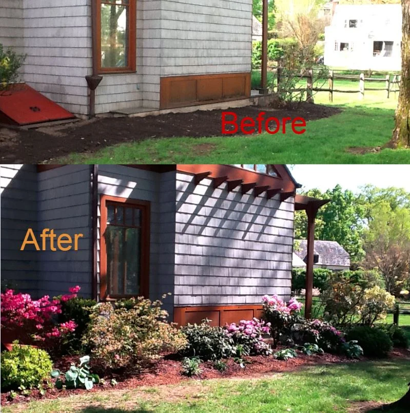 KTB Combined Before After.JPG