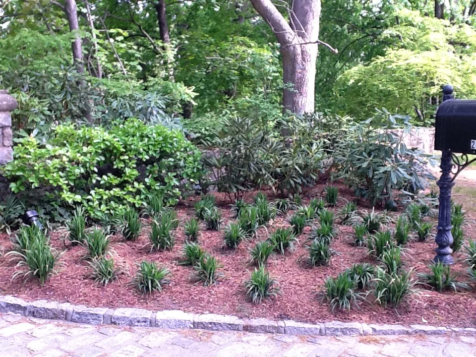 KTB Entrance plants.JPG