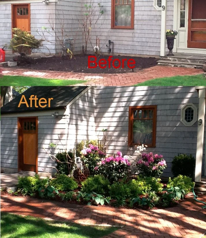 KTB Combined Before After front.JPG