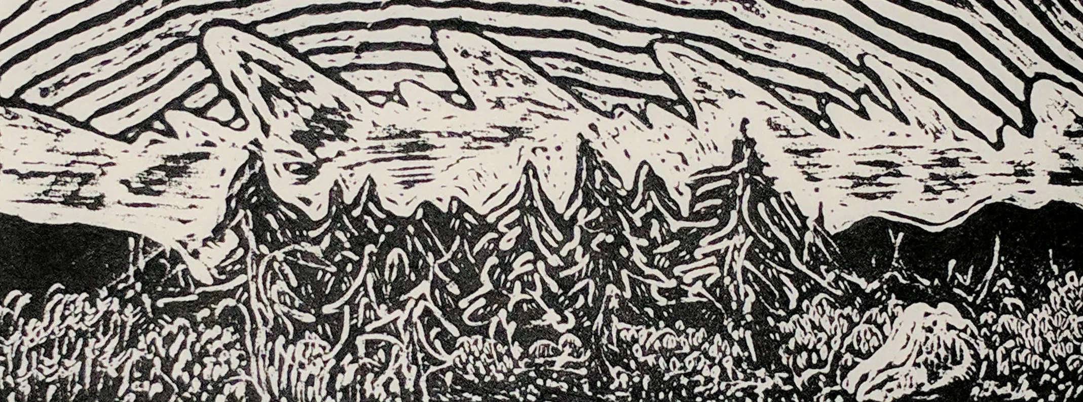 Evergreen Thicket : Gusty Weather