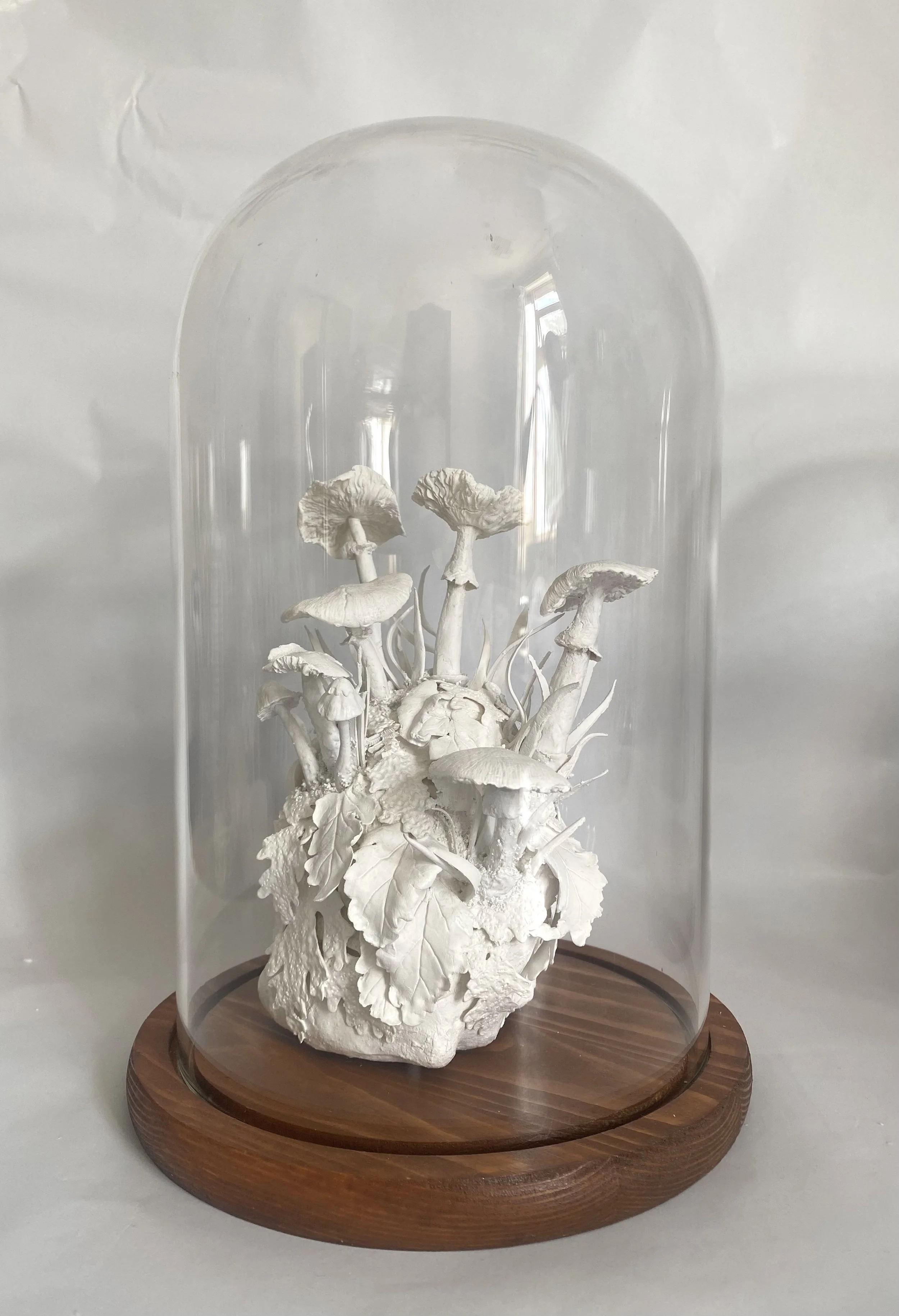 Amanita Phalloides (After Erin)