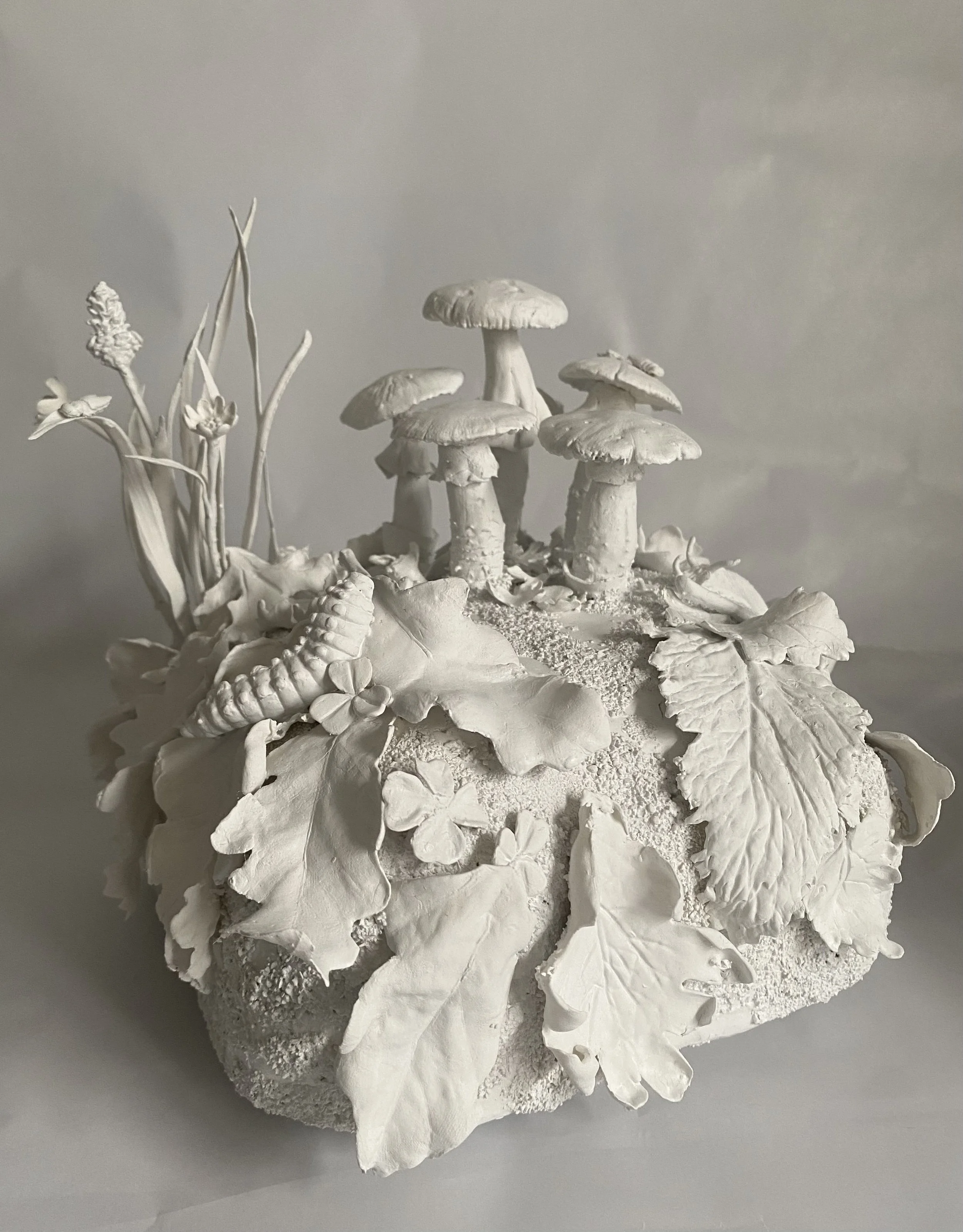 Amanita Phalloides - Forest Floor ( After Erin)