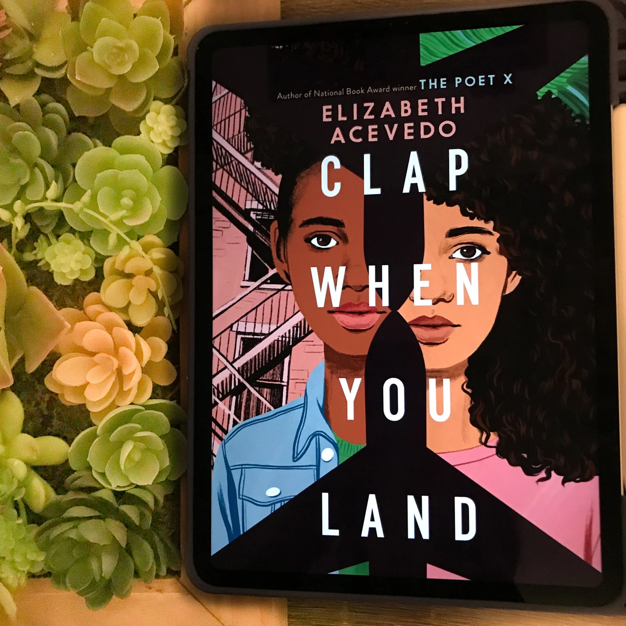 Clap When You Land - Review