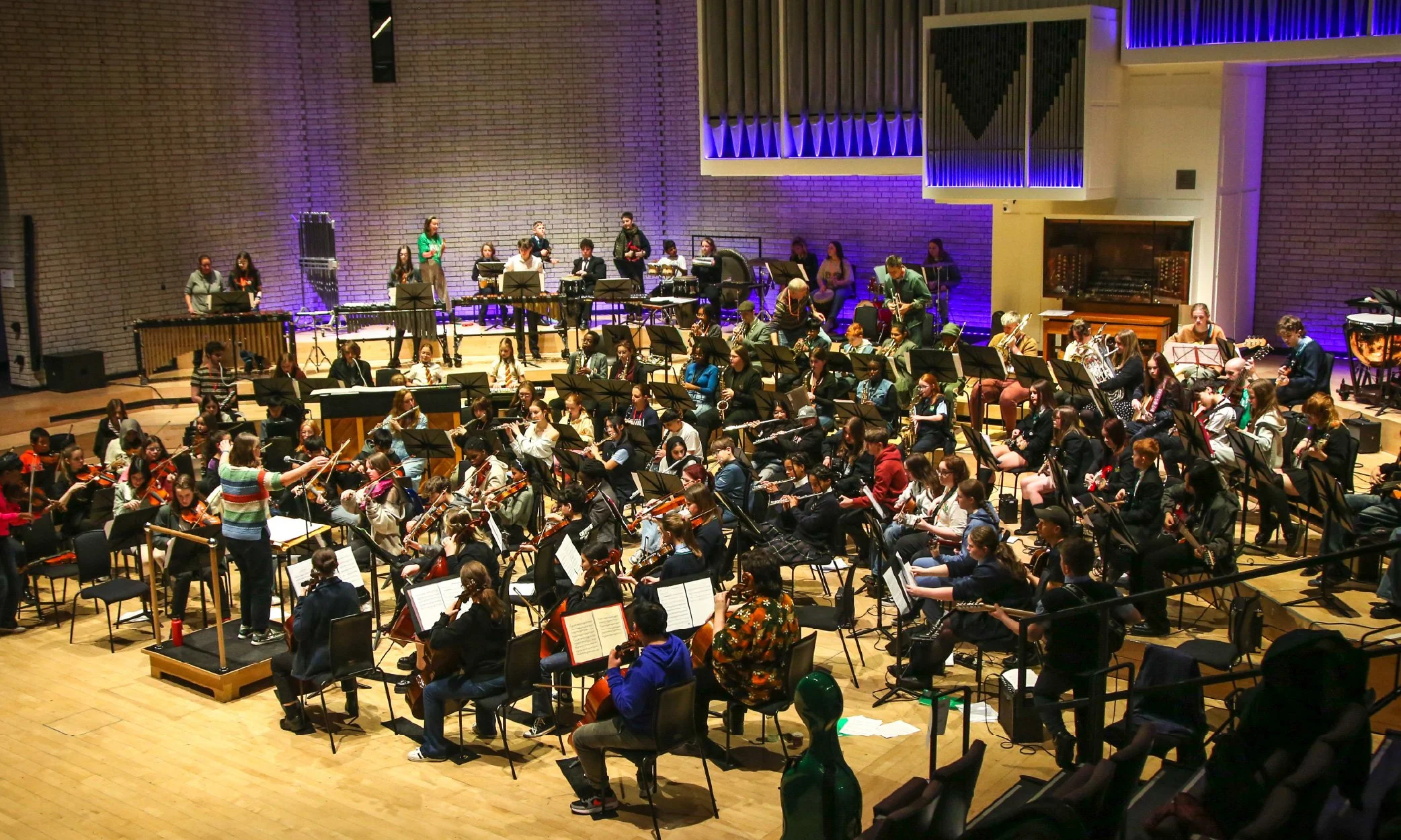 A full Modulo orchestra.