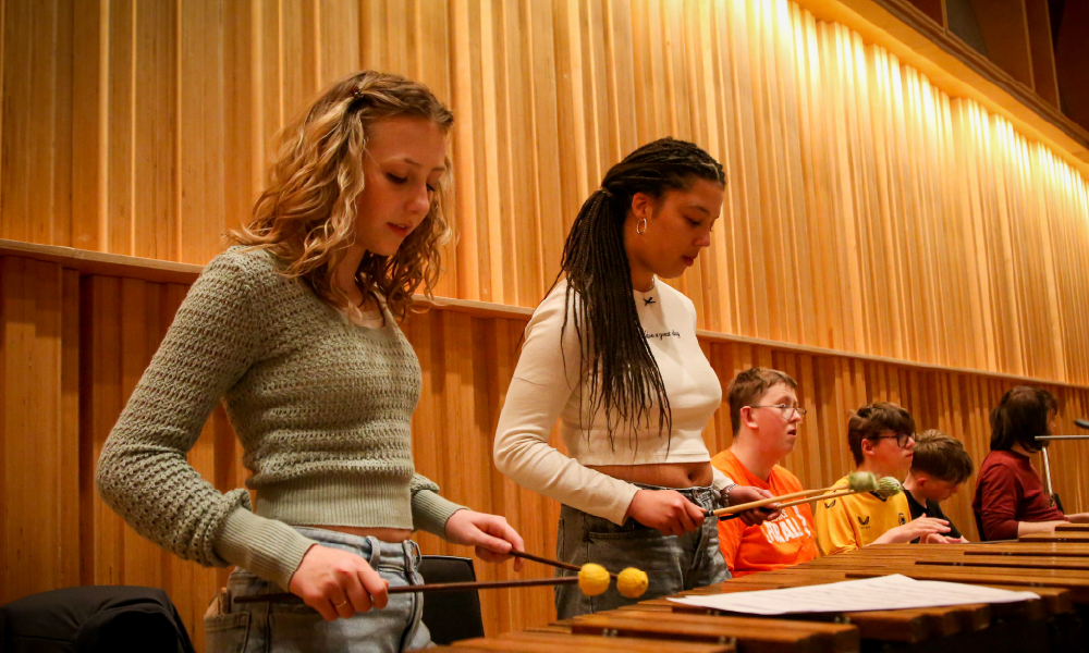 National Orchestra for All marimba players
