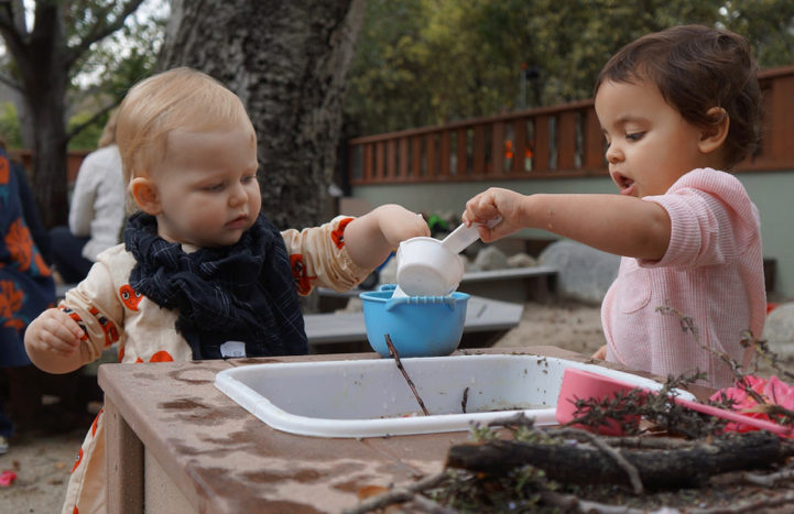 Toddlers playing
