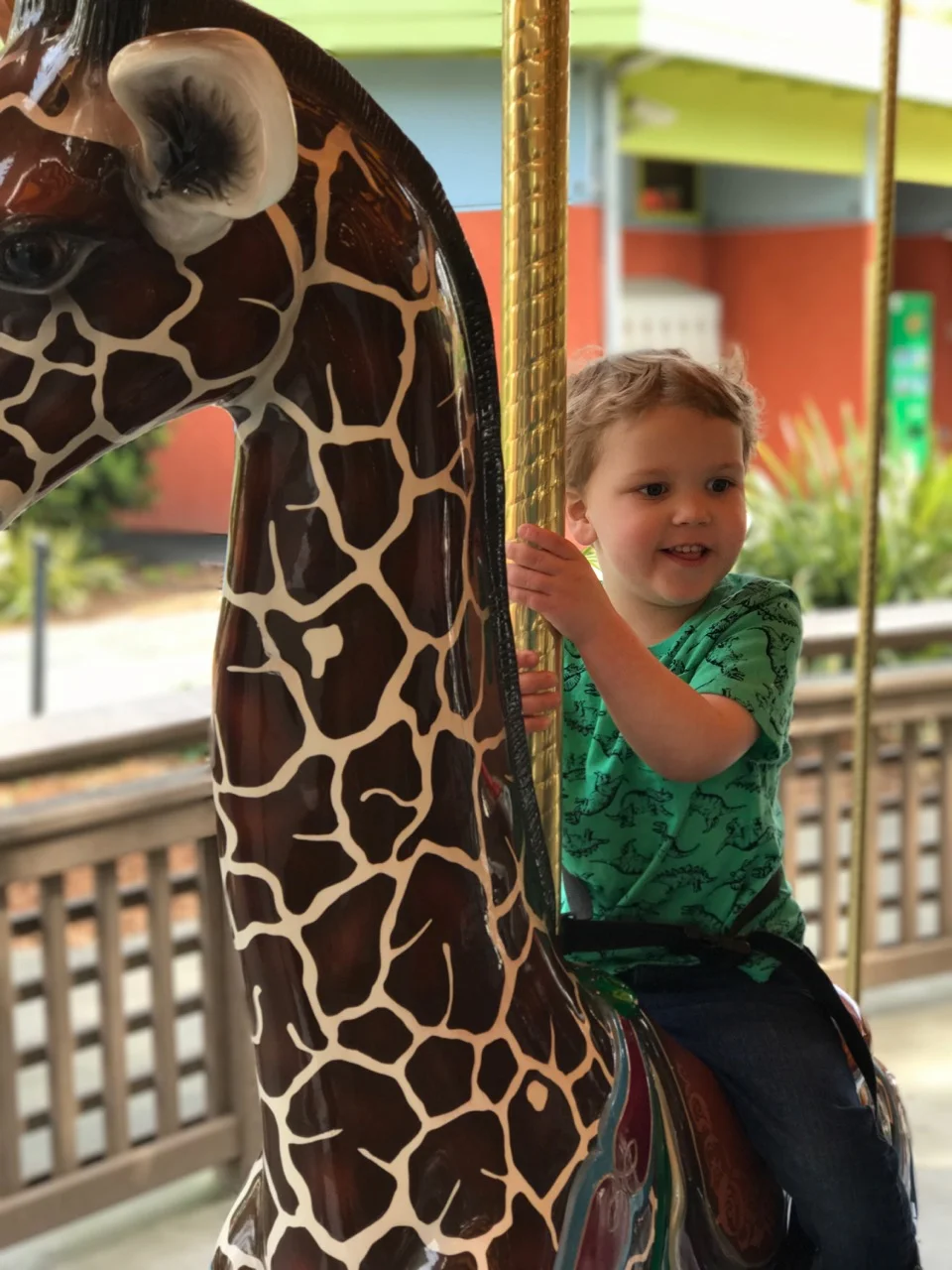 W12: Carousel time!
