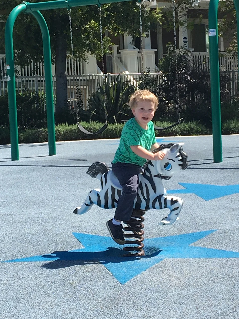 W13: Riding the zebra