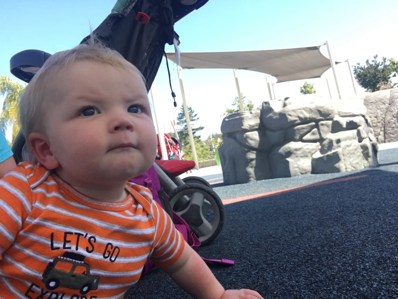 Contemplating life at the park