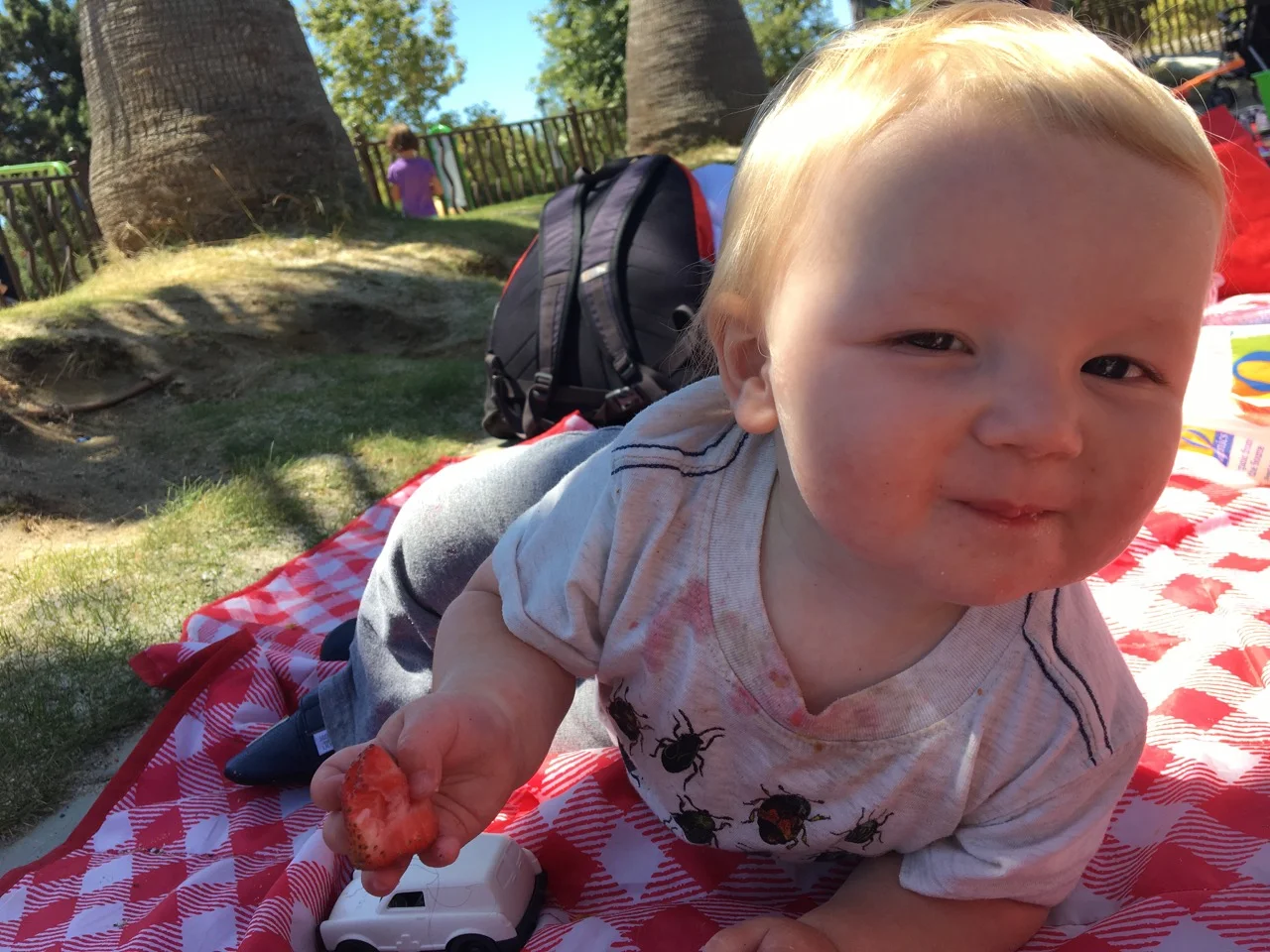 Demolished these strawberries at the park