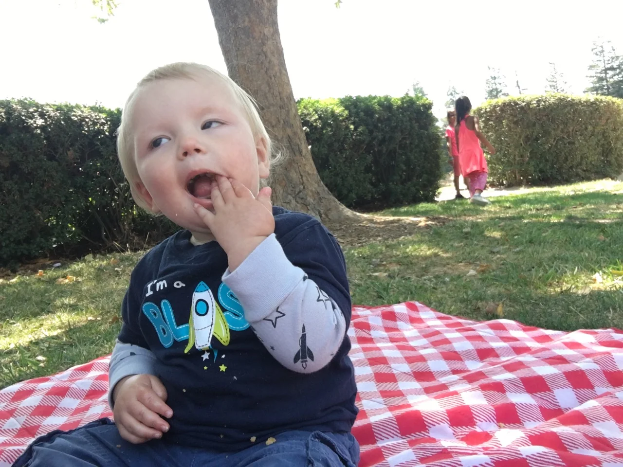 Nom nom nom