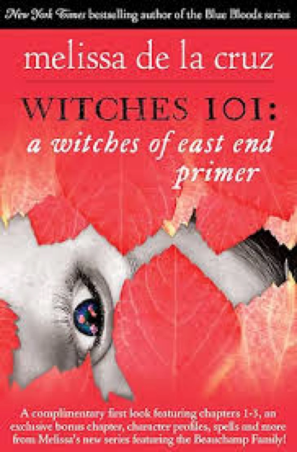 witches (1920).jpeg
