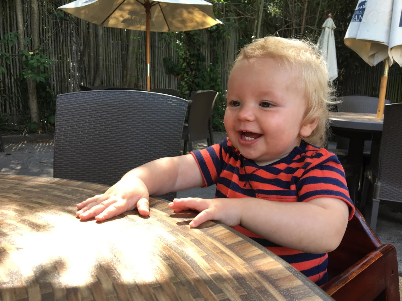 Look at those teeth