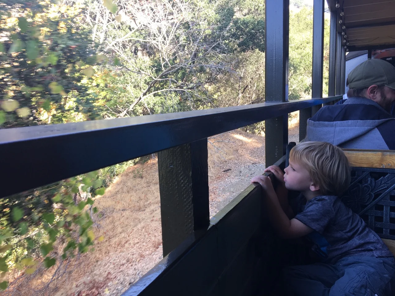 W41: Riding the train on his birthday
