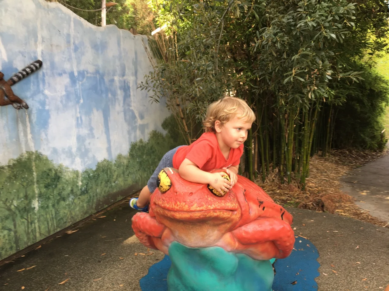 W37: Climbing the frog at the zoo