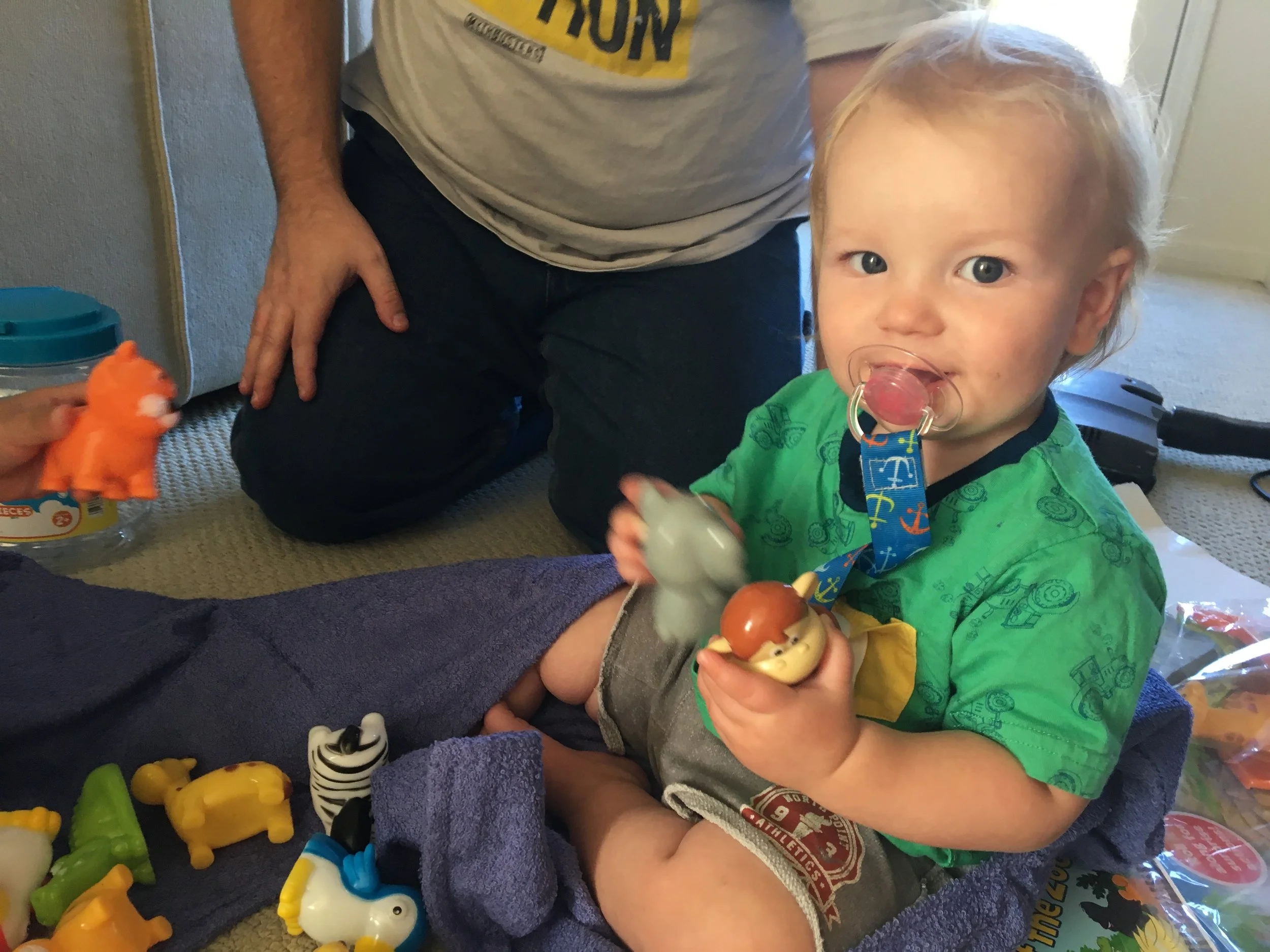 Loves his new animals