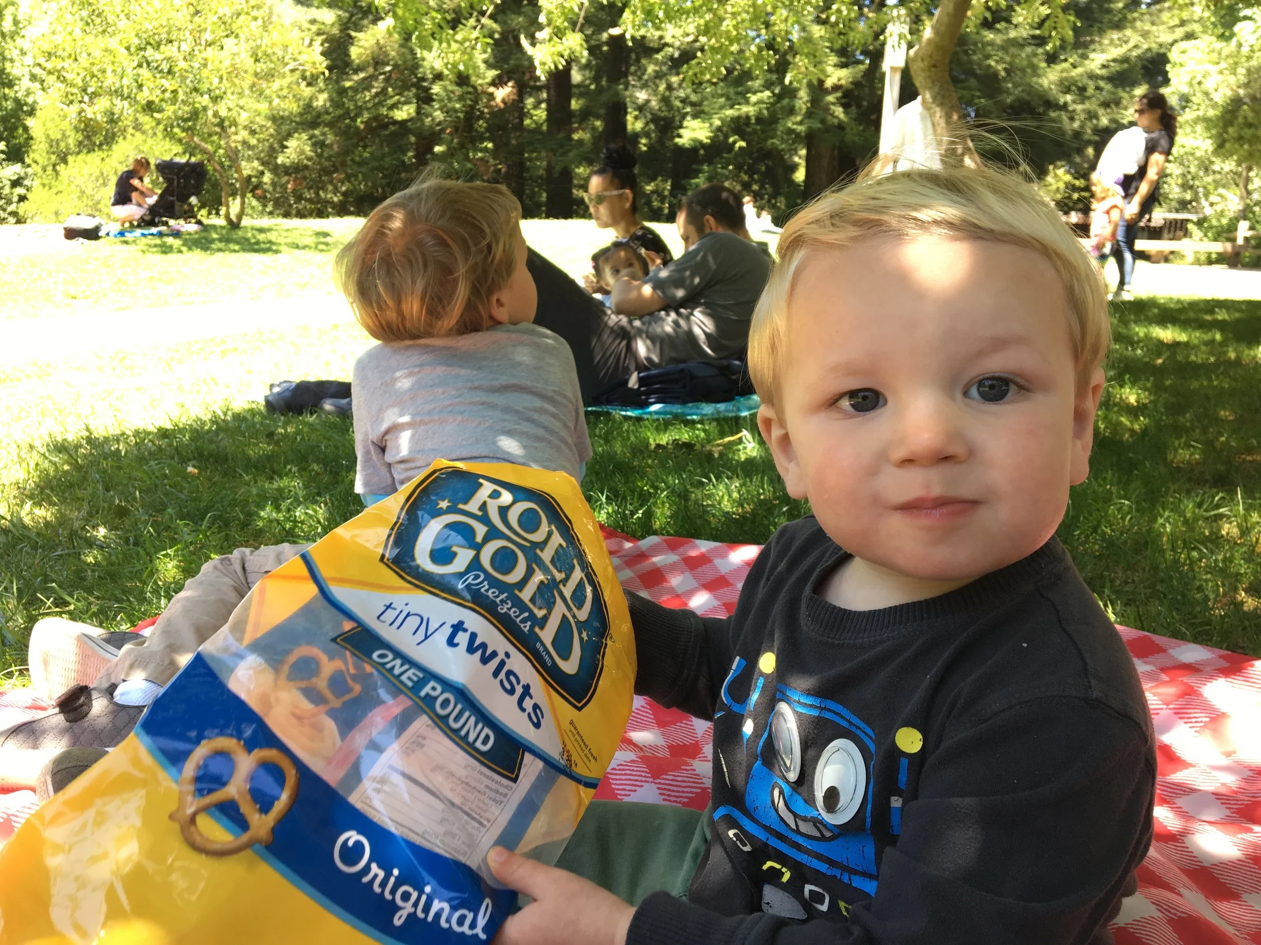 Picnic at the farm