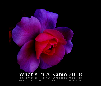 What's in a name 2018.jpg