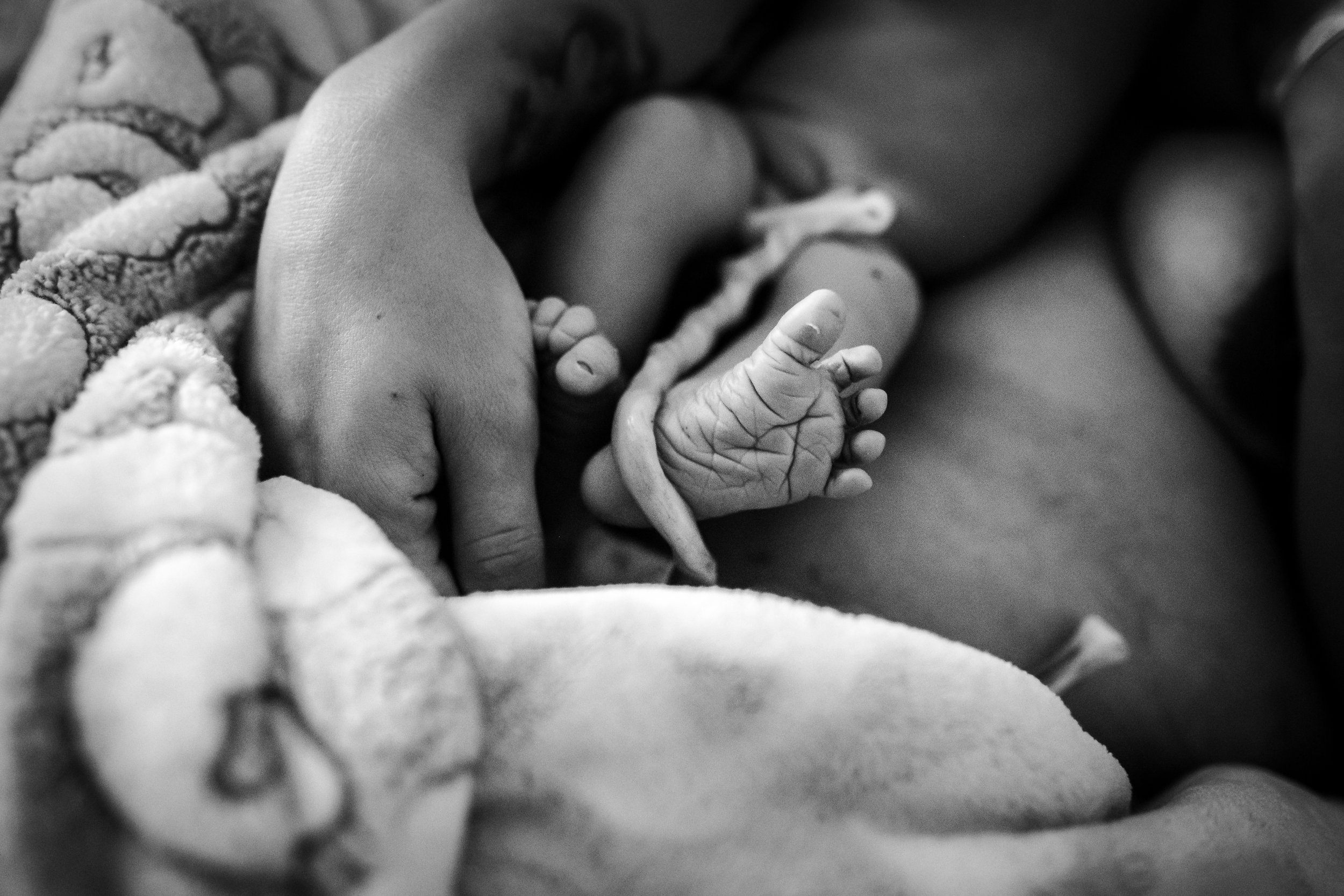 DFW Birth Photographer — Dallas Fort Worth Birth Photography | Kathryn ...