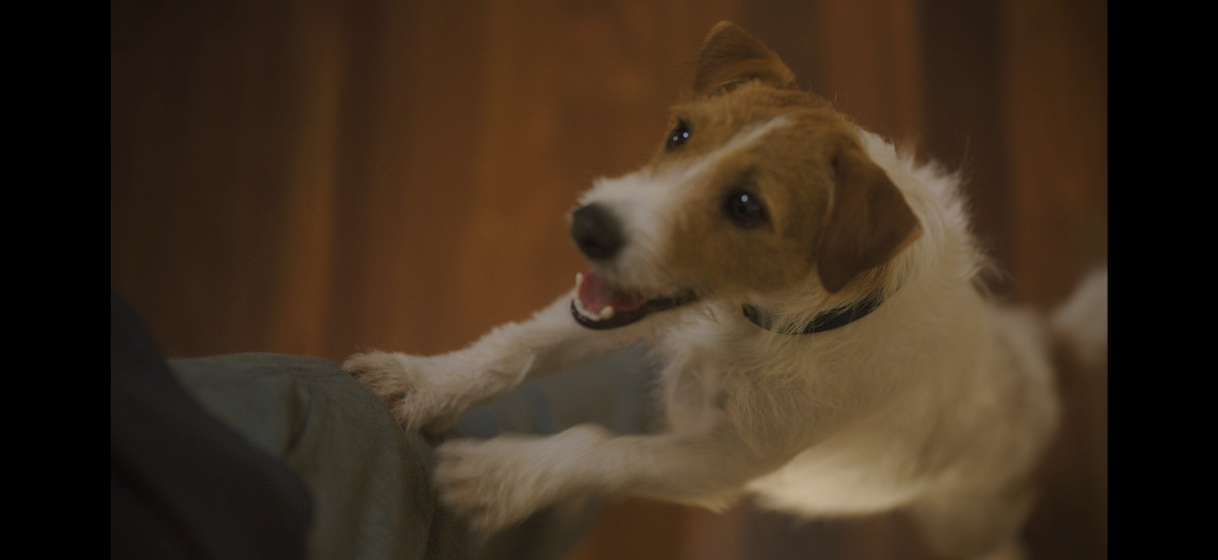 Natures Gift "Real Food" TVC
