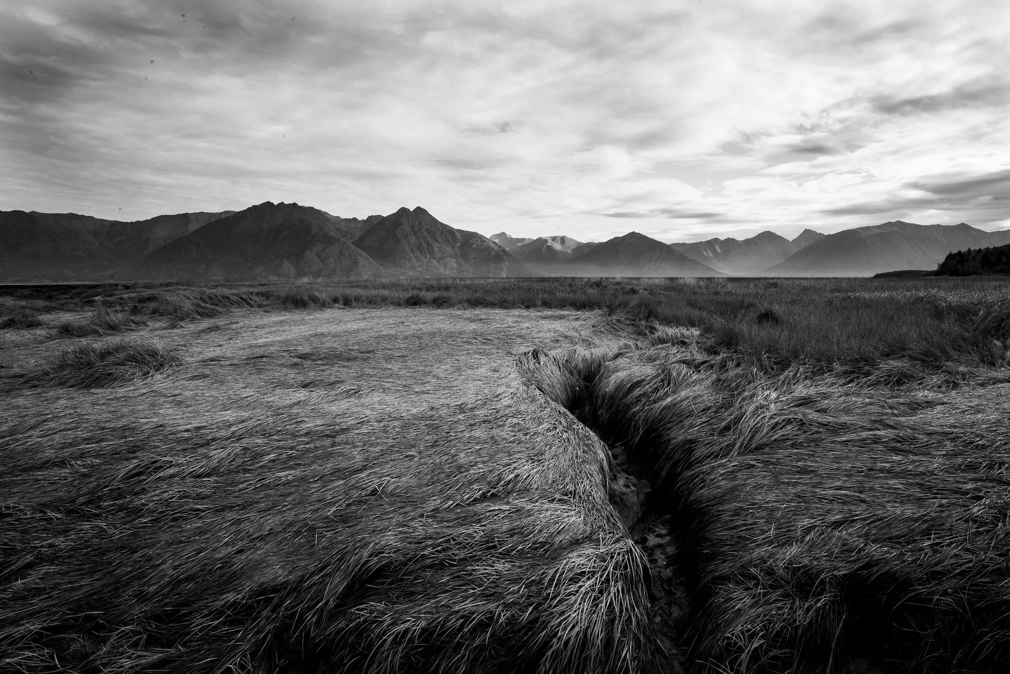 © Susitna Marasul, 2019