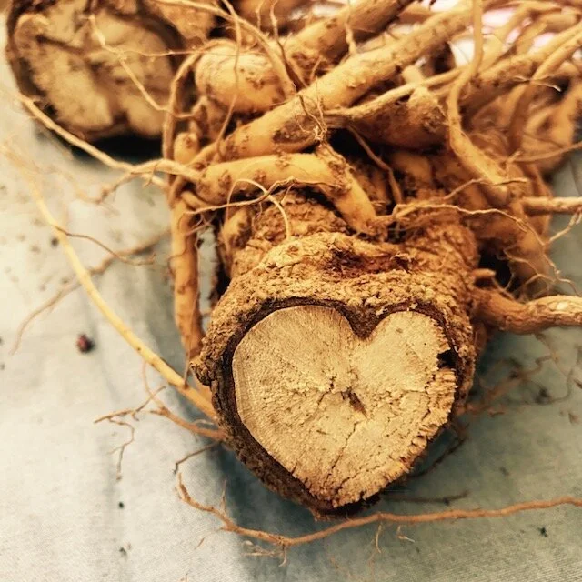 7 Ways to Love your Liver {and no, de-toxing is not one of them}