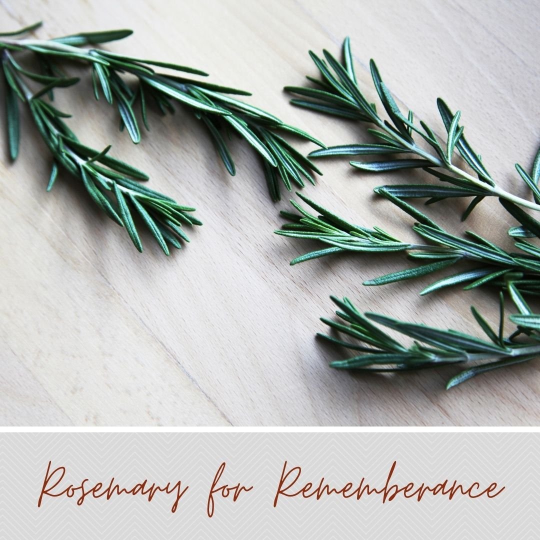 Enhance your Memory with Rosemary