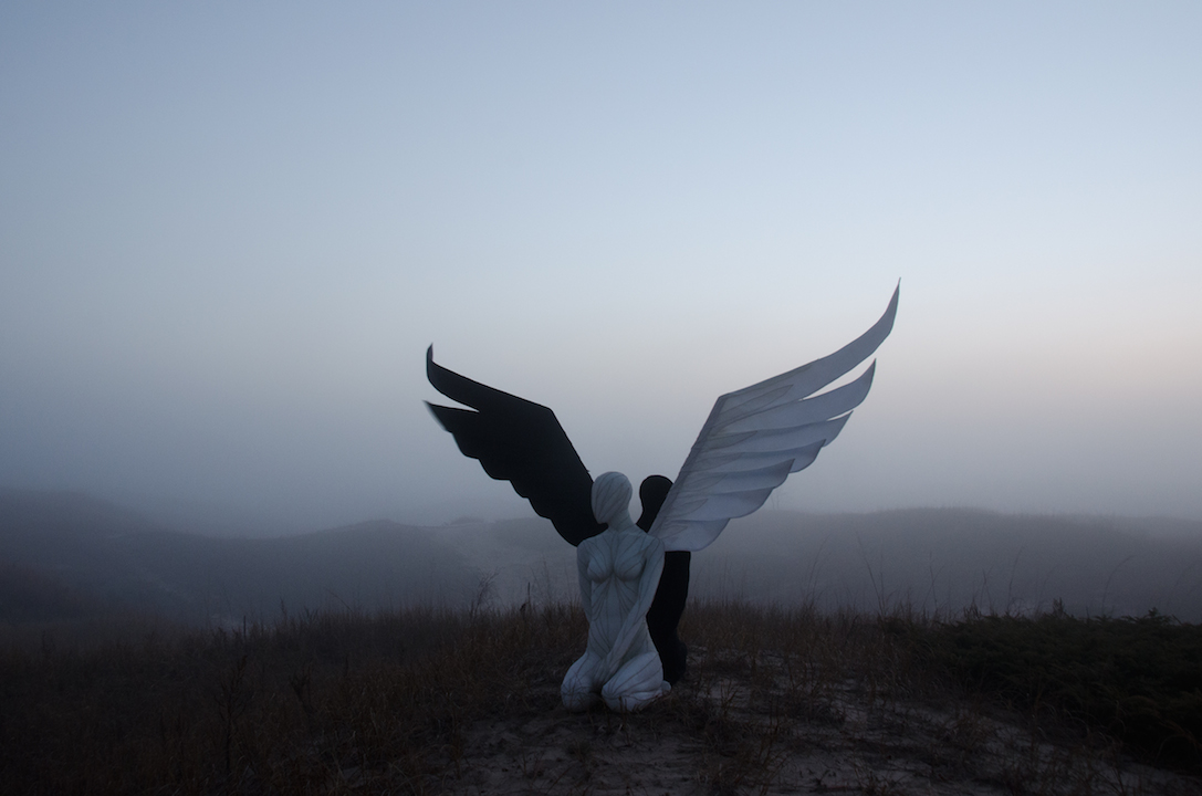 Fog_Balance_Wing_Sculpture.jpg