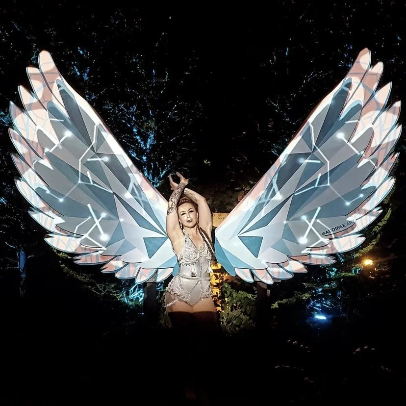 Wings of Light installation for GLEAM