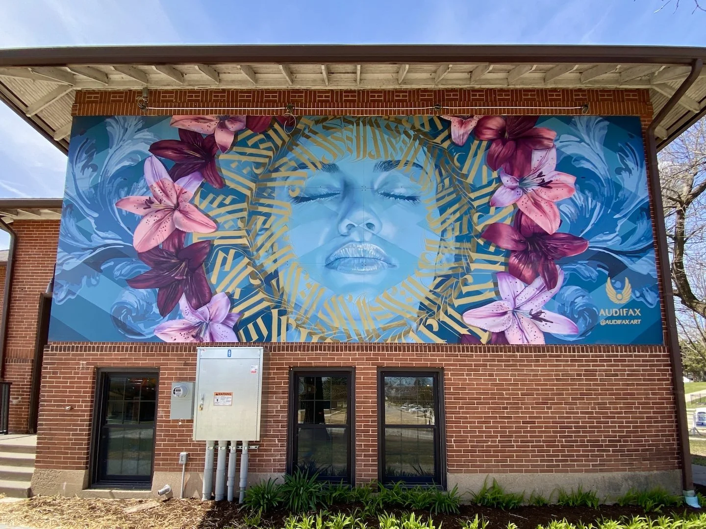 Audifax Mural Muralist Madison Mural Verona Mural Art House 360 Mural Female Street Artist Wisconsin