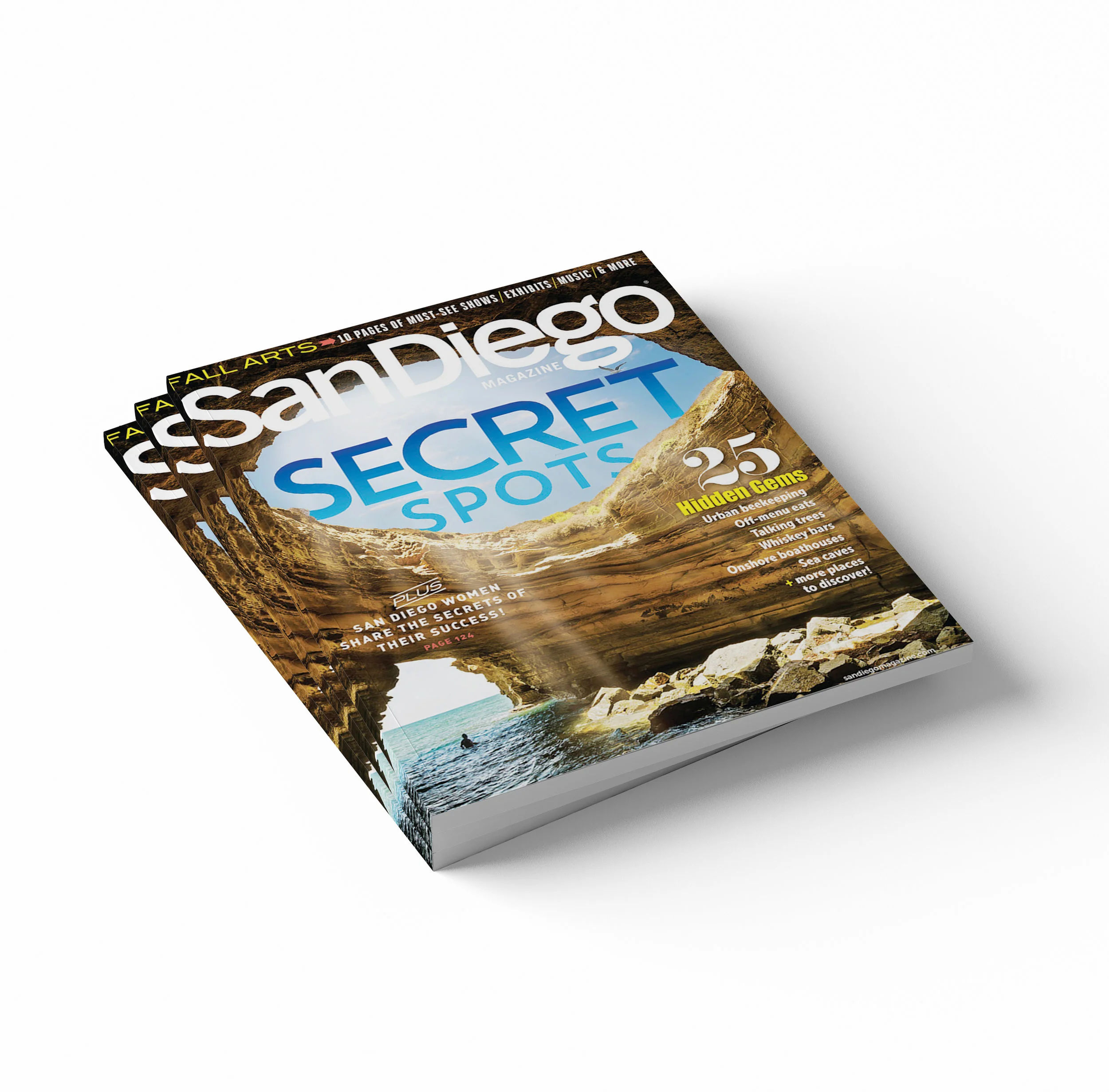 sdm_covers3.jpg