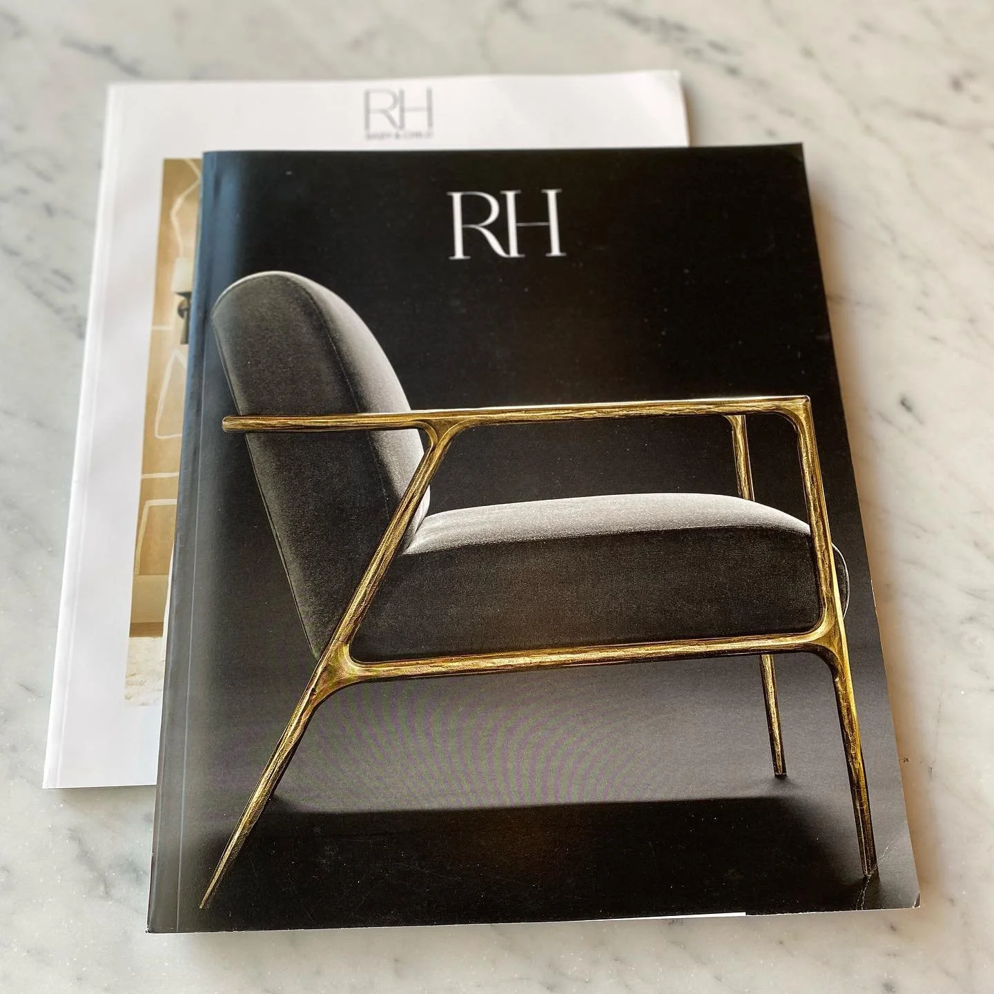 What are your weekend plans? Stopping by #restorationhardware is always a good idea 😍

www.rh.com

#WeBuildQuality
.
.
.

#trianonconstruction #trianonconstructiondesign #design #interiordesigninspiration #interiordesigninspo #frenchinteriors #paris