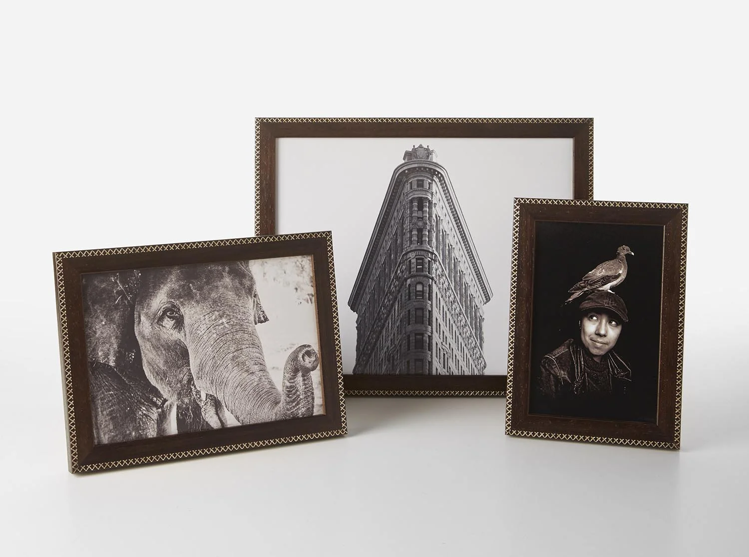 artist frame 11 16 jax 570016.jpg