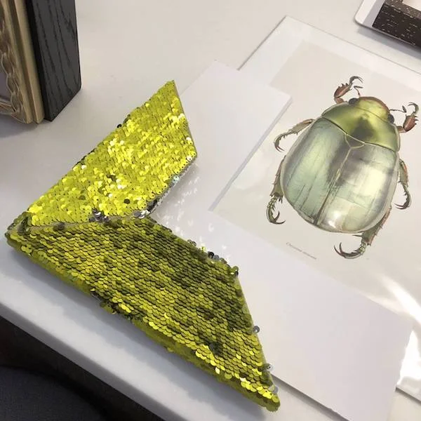 Above: And last but not least, some of our favorite customer projects. The sequins paired with the bug art on this piece from @pamelamckuen is too good. Below: A pride-worthy frame just in time for the Chicago Pride Parade this summer.