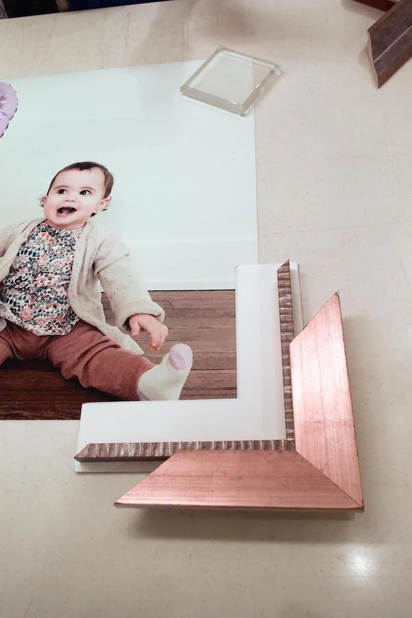 Take 2. The pink of the frame picks up the pink in her shirt - but it was feeling like a little bit too much. Obviously, the baby needs to take center stage here.