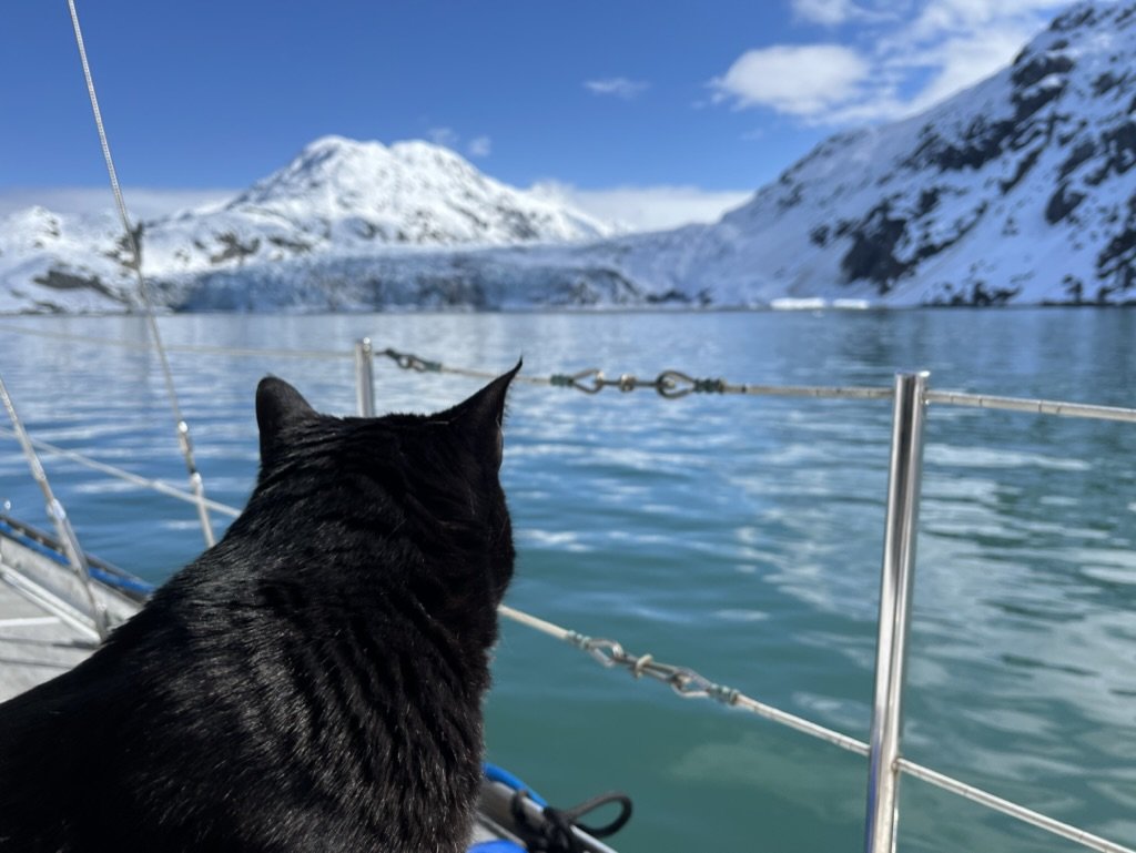 Ernest moves on board