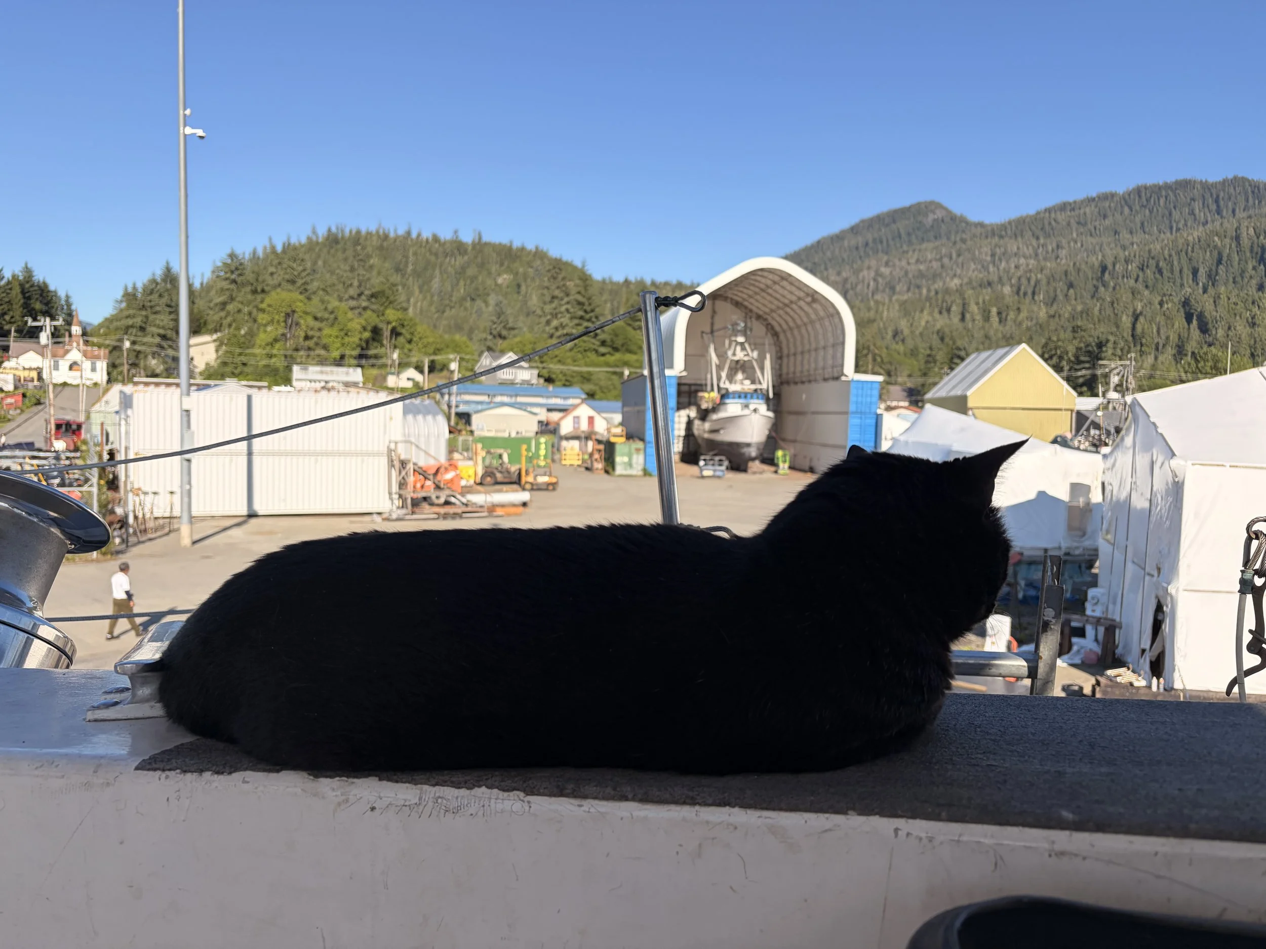 IMG_0116.jpeg