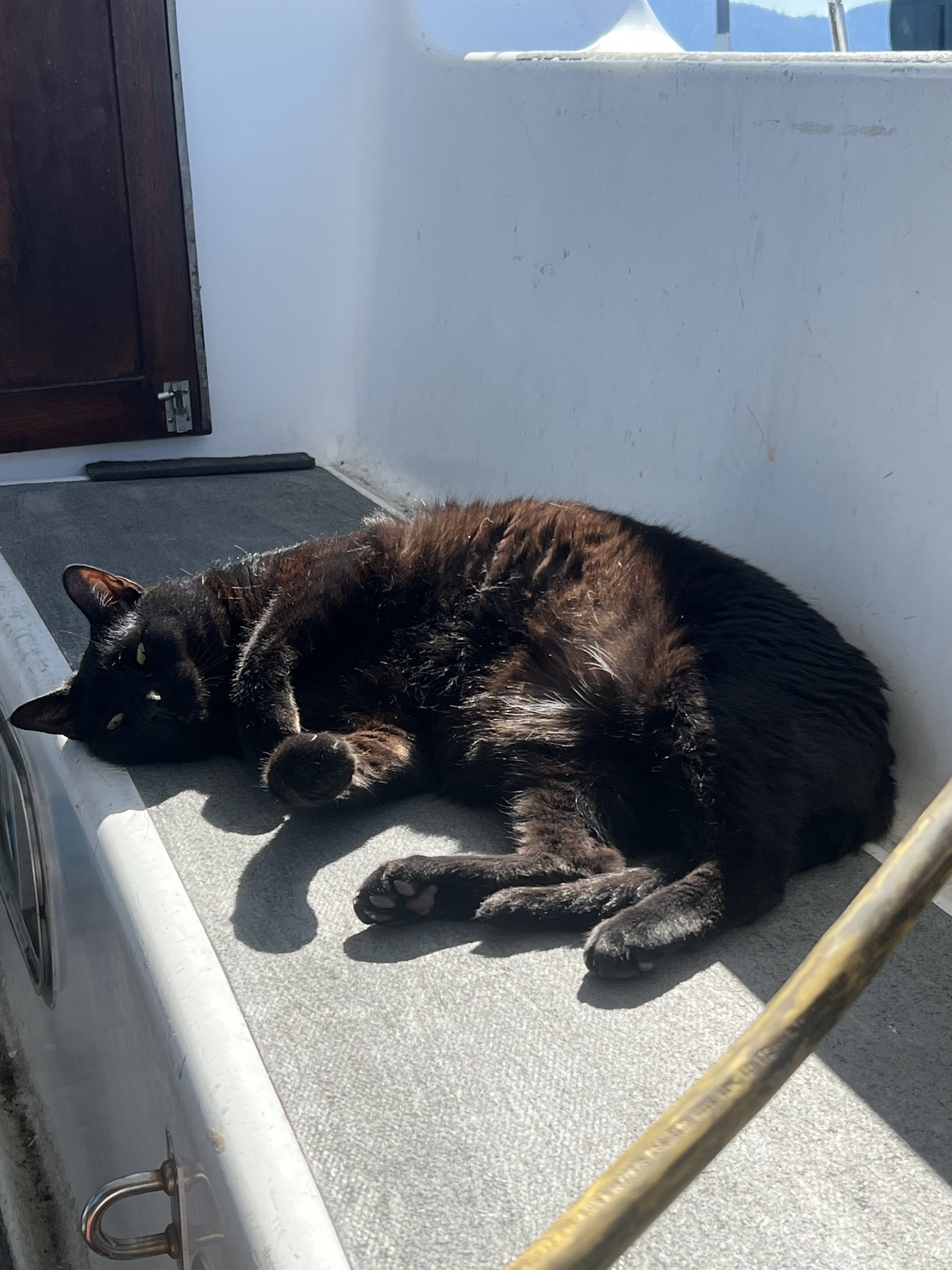 IMG_4754.jpeg