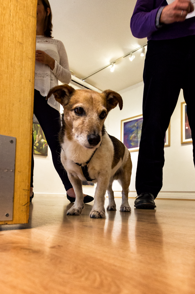 Jack- Clive Hicks Jenkins dog.png