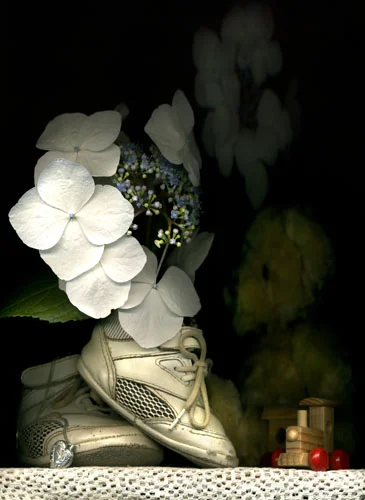 'My First Shoes and Teddy'