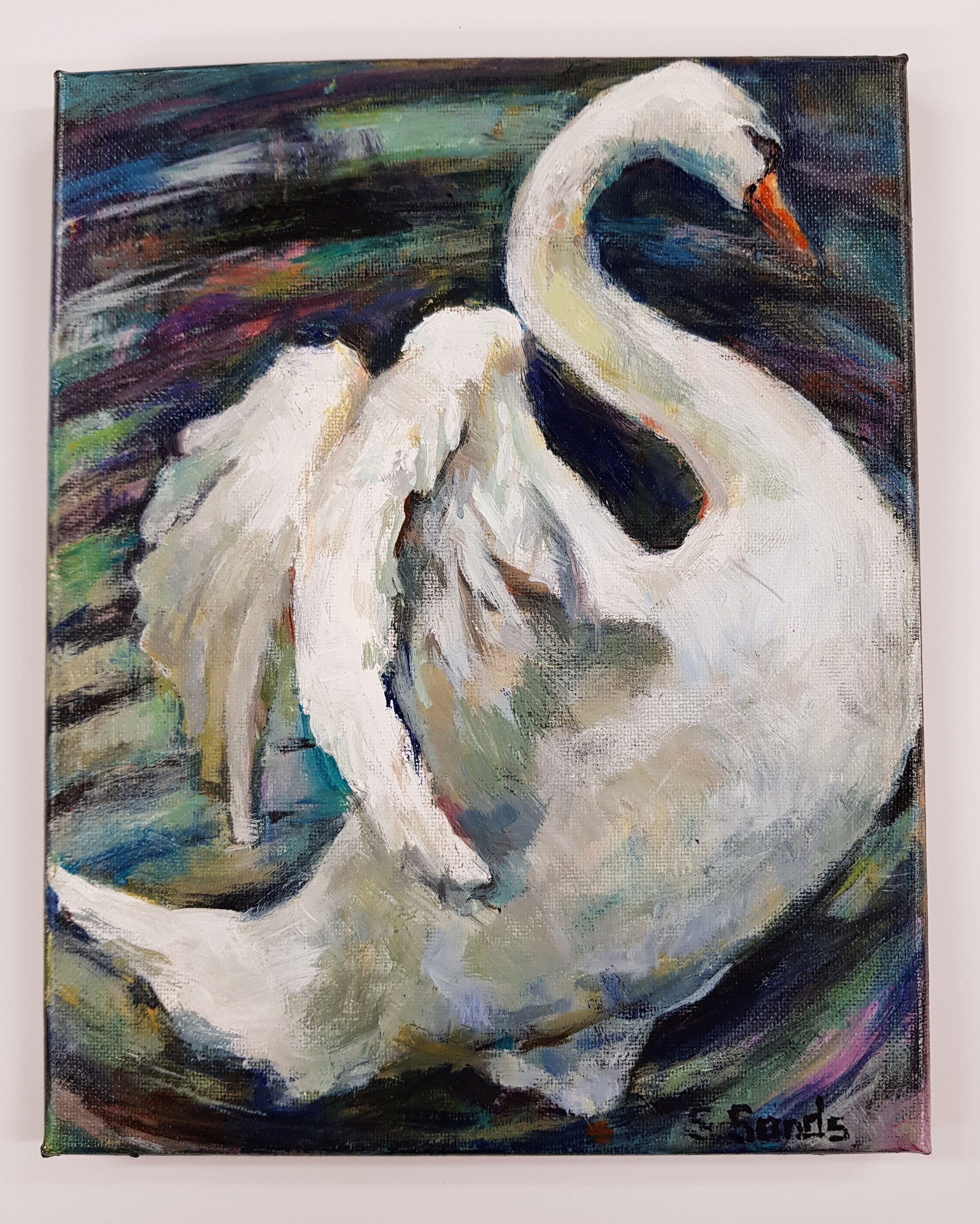 " Swan alert " - Susan Sands