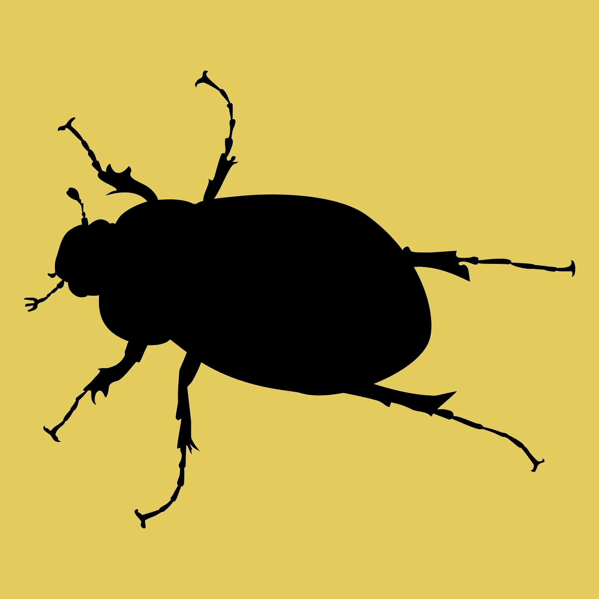 june-bug.jpg