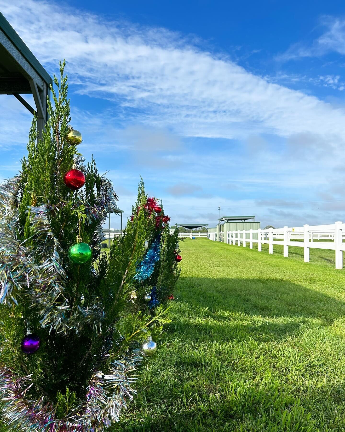 Wishing all of our agistees, clients, coaches, vets, farriers and friends a beautiful Christmas and safe and happy New Year 🎄🤍

Also very impressed the tinsel managed to somewhat stay on after last night&rsquo;s storm 😂