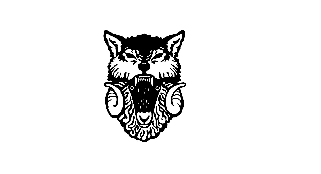 noggin updated.png