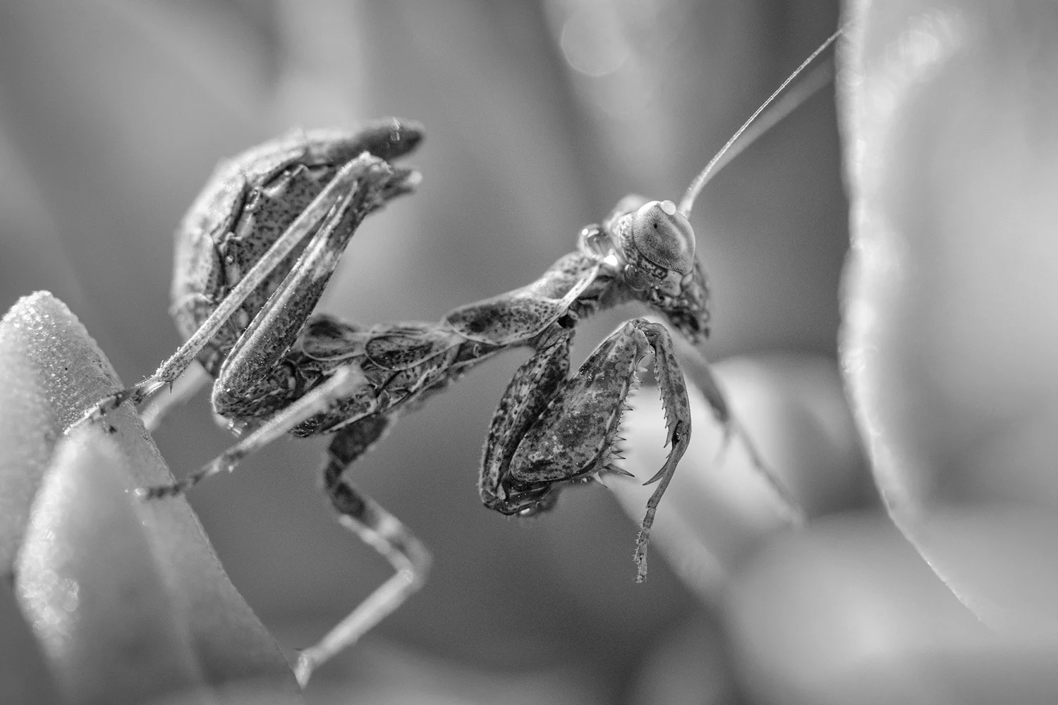 DSC_7883-Edit-Edit.jpg